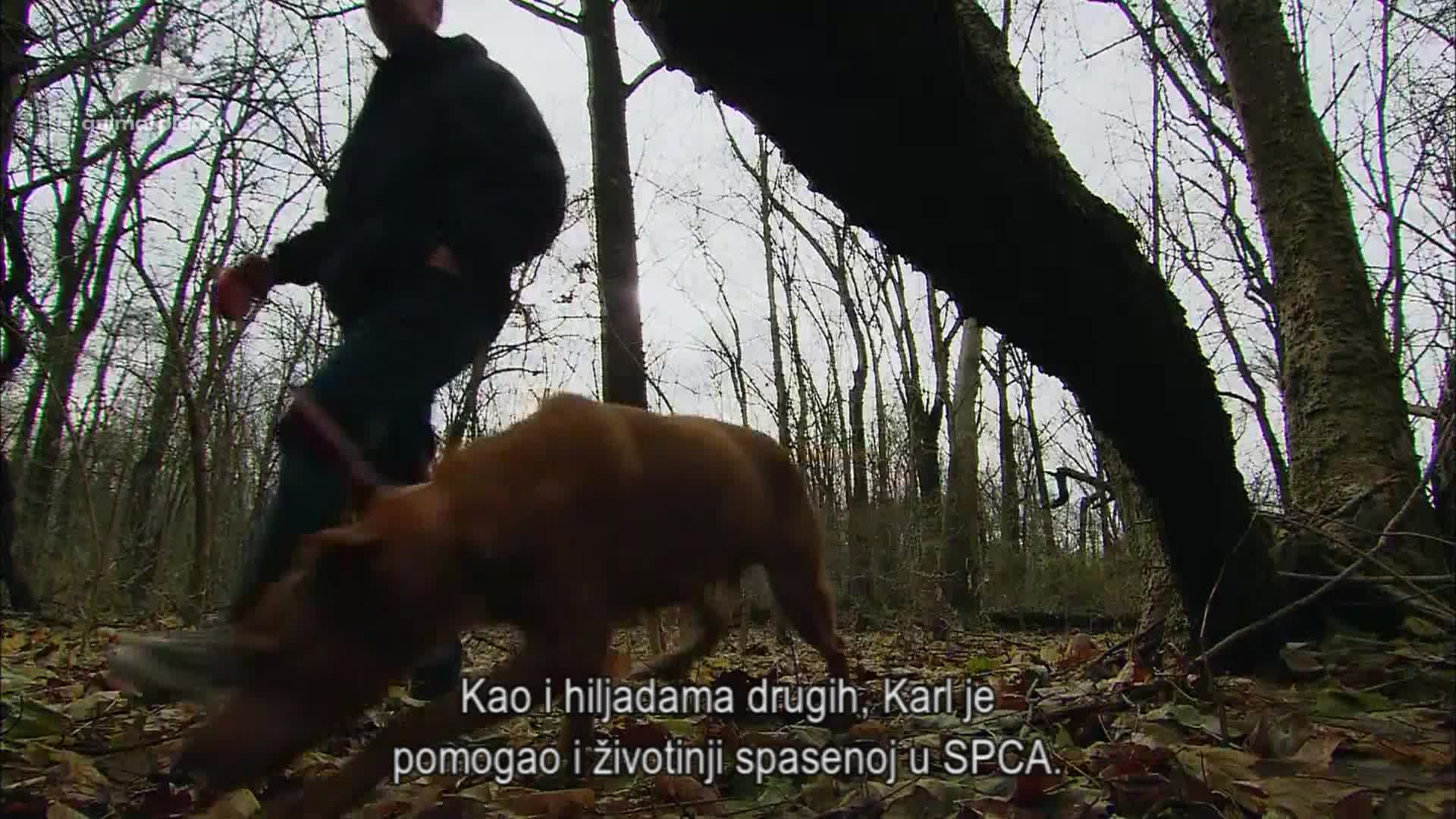 AnimalPlanet