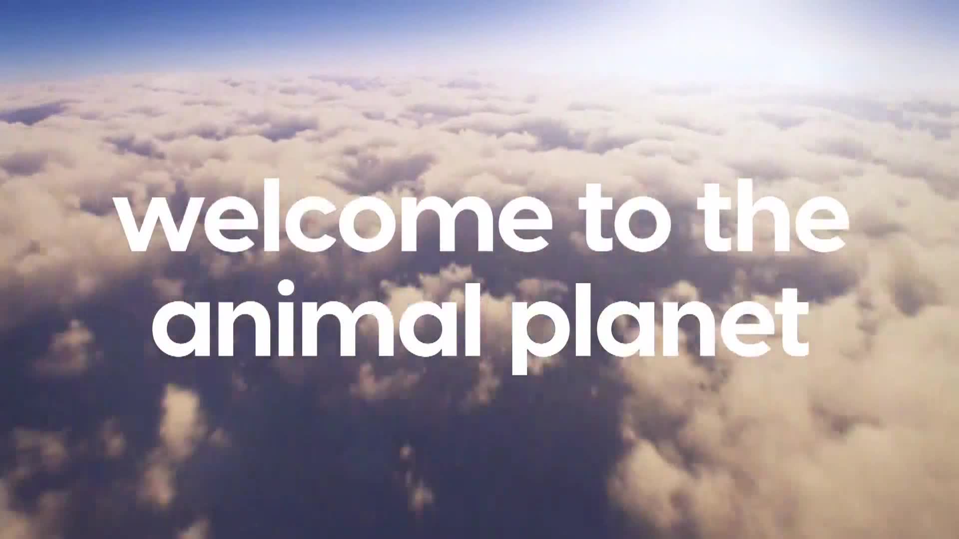 AnimalPlanet