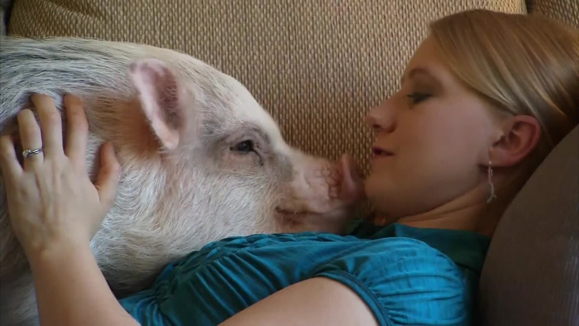 AnimalPlanet
