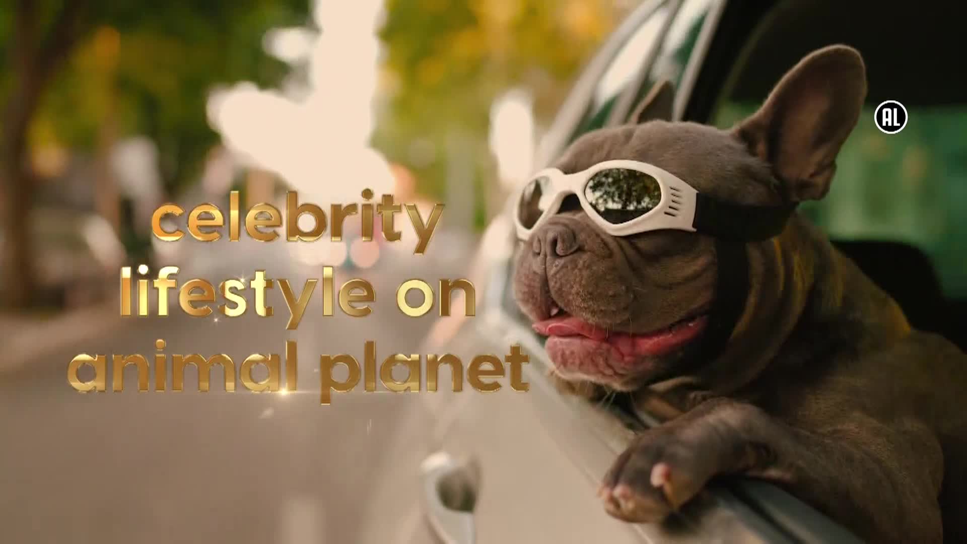 AnimalPlanet