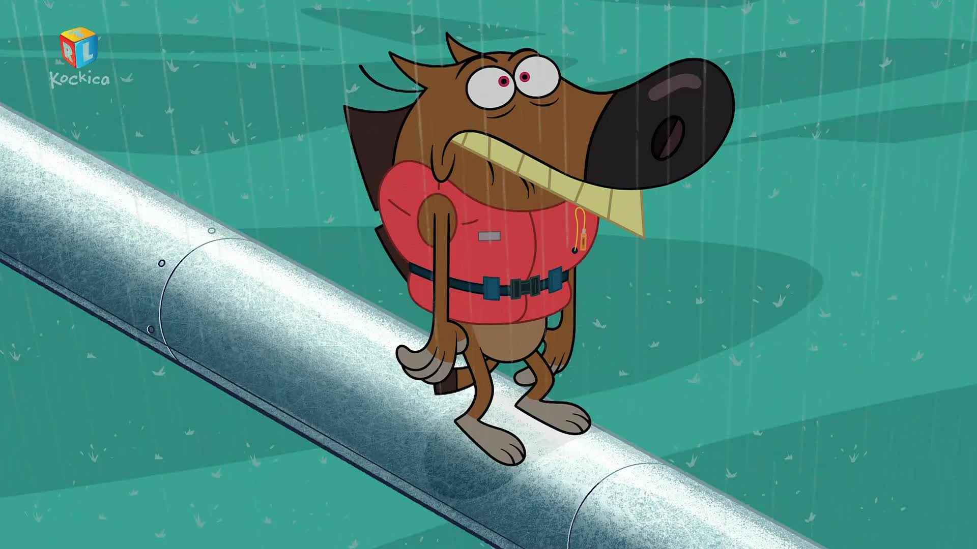 RTLKockica