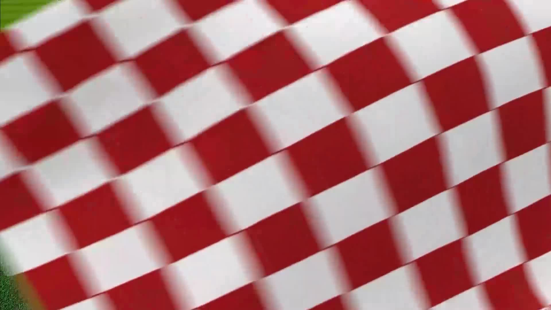 RTLKockica
