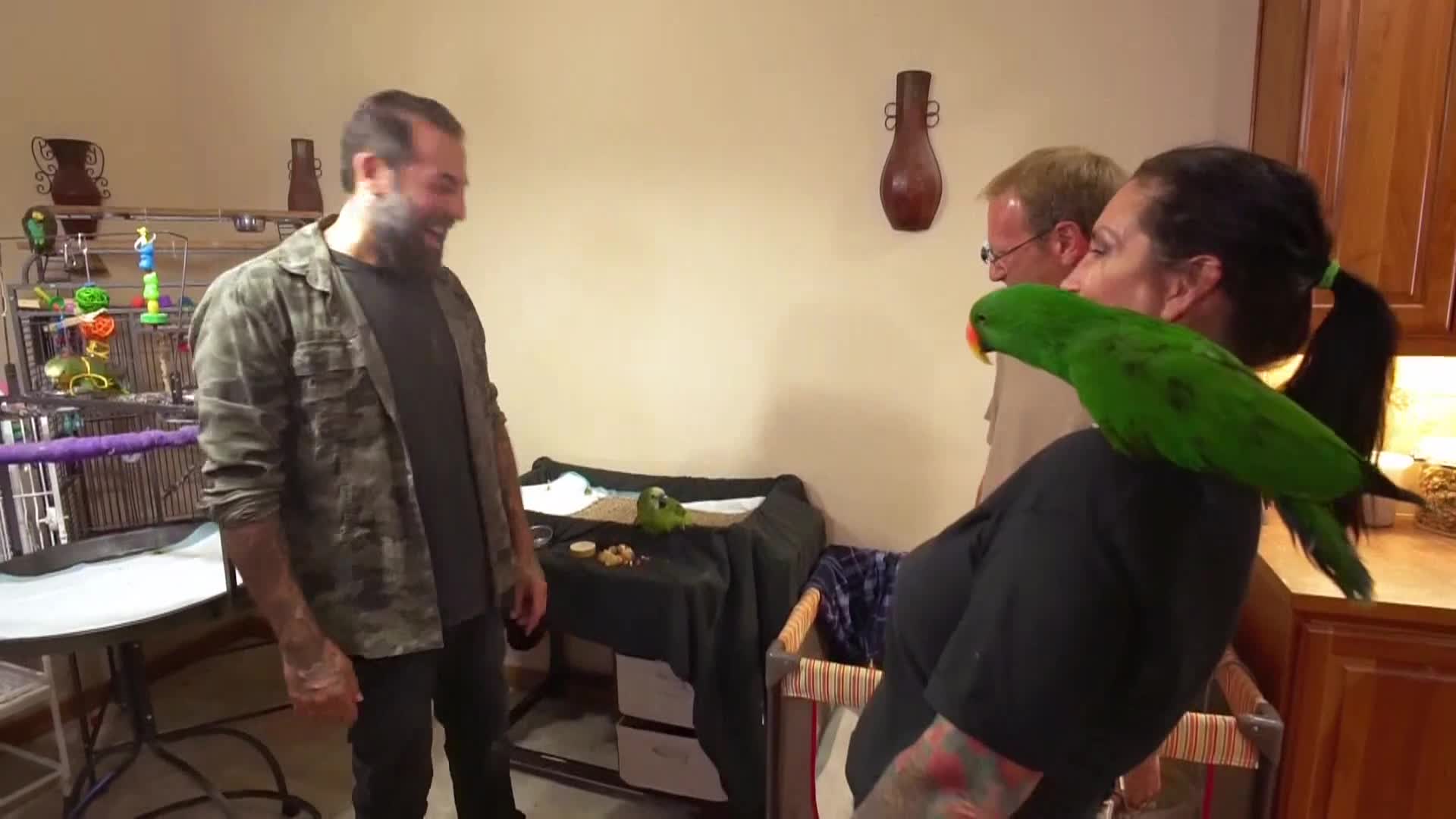 AnimalPlanet