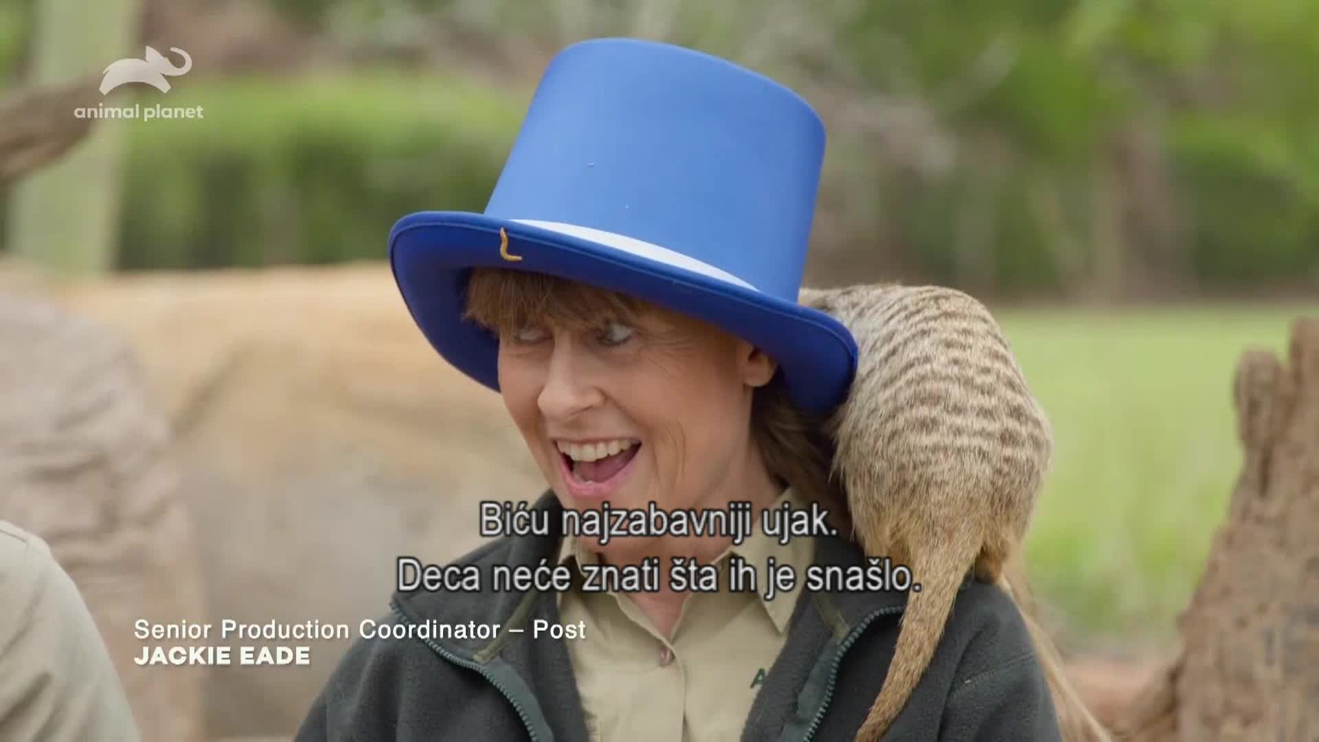 AnimalPlanet