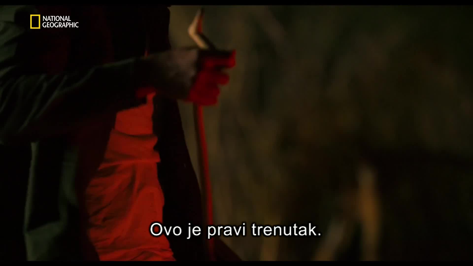 Premium10