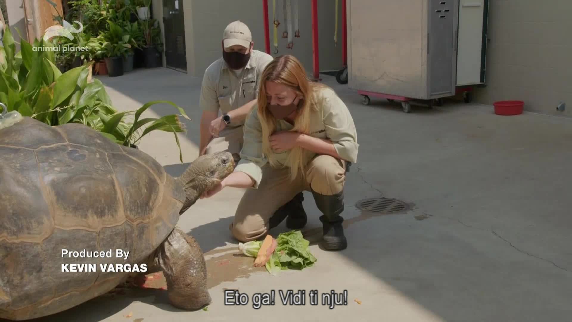 AnimalPlanet