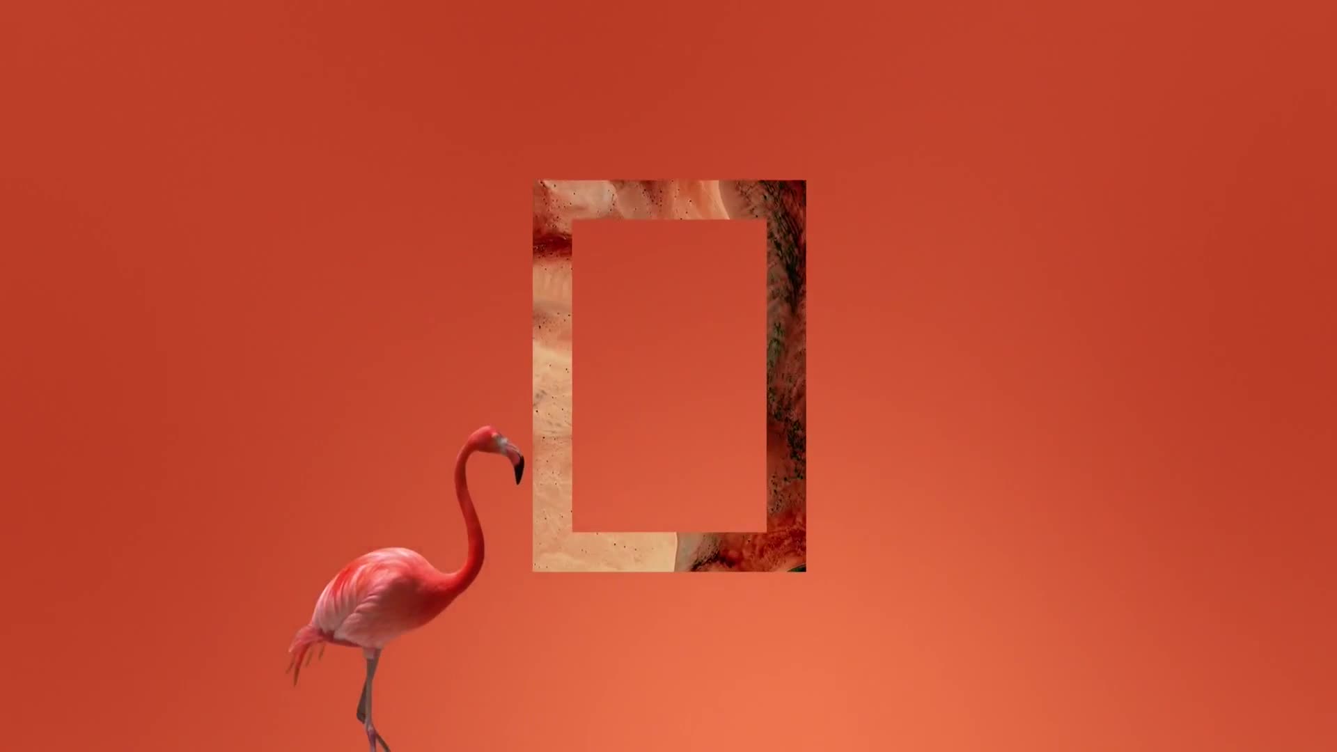 Premium9