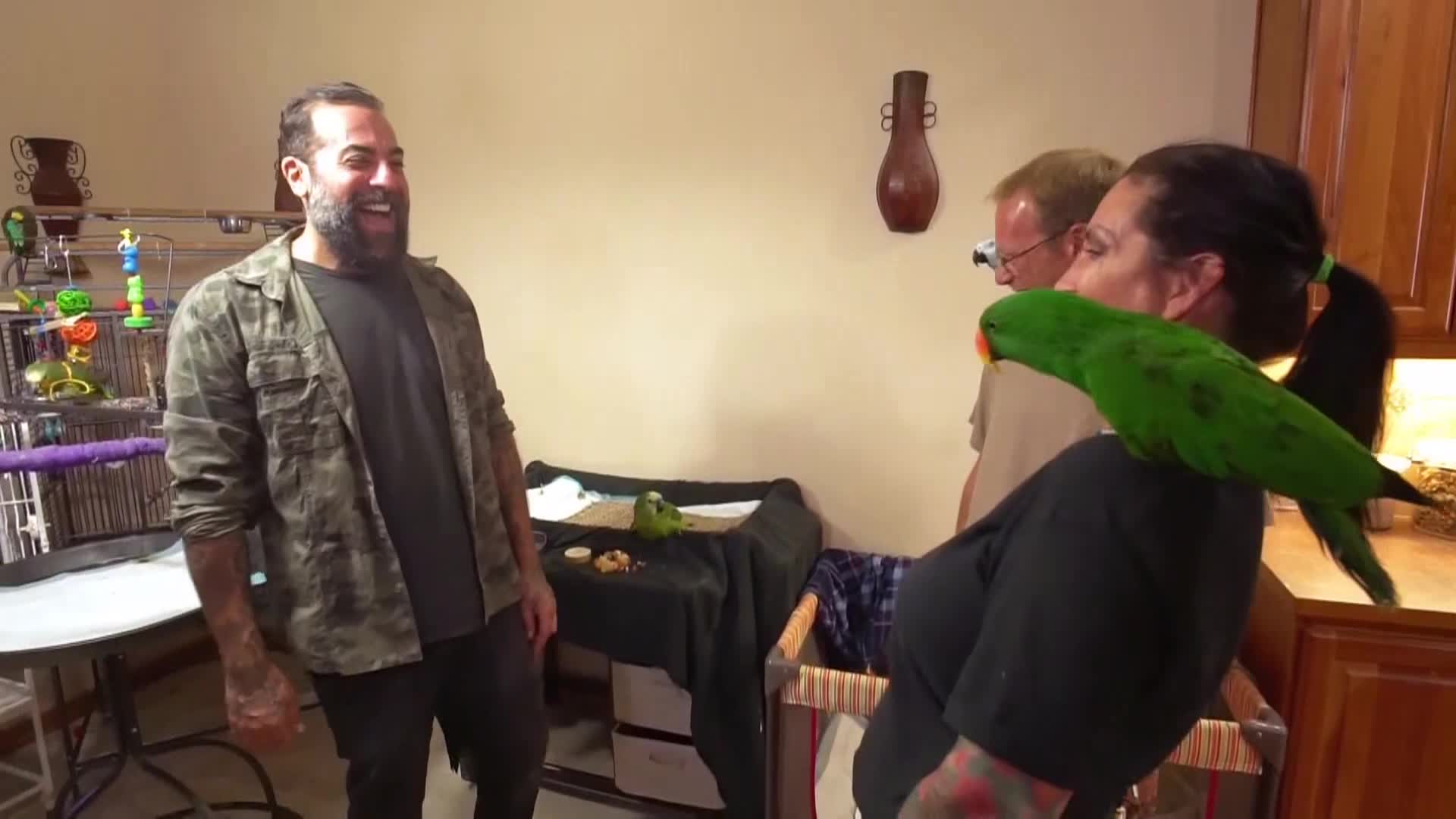 AnimalPlanet