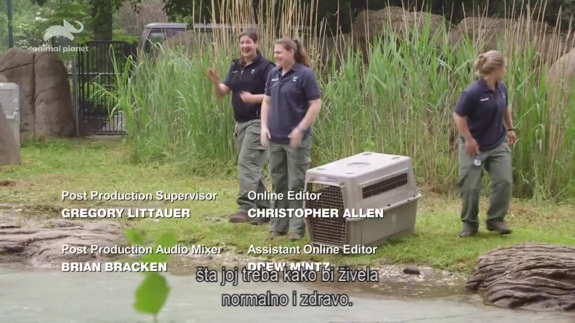AnimalPlanet