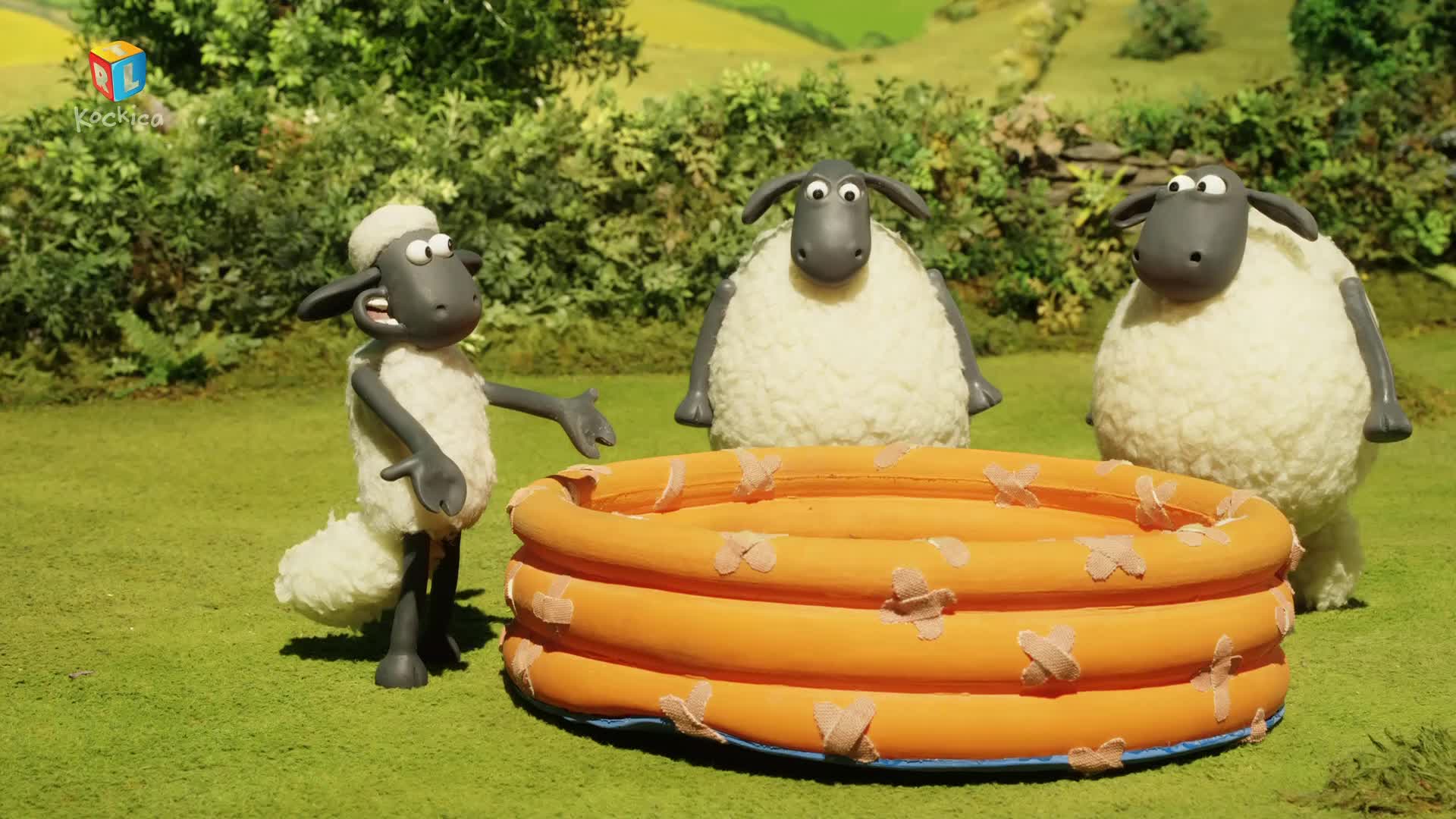 RTLKockica