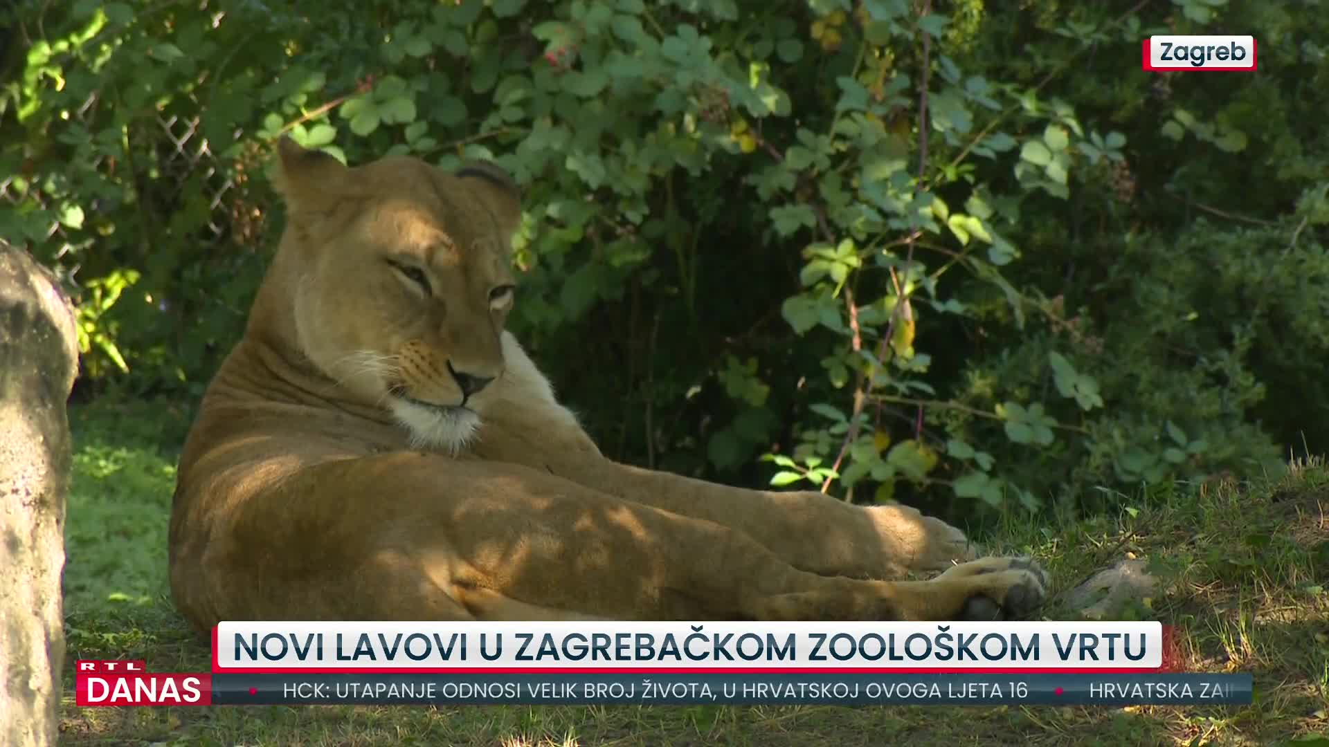 RTL