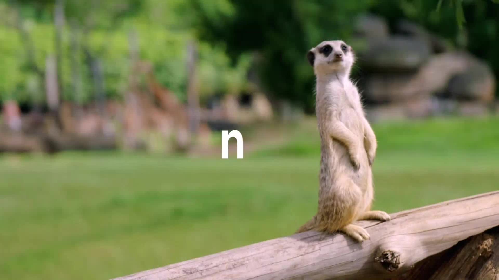 AnimalPlanet