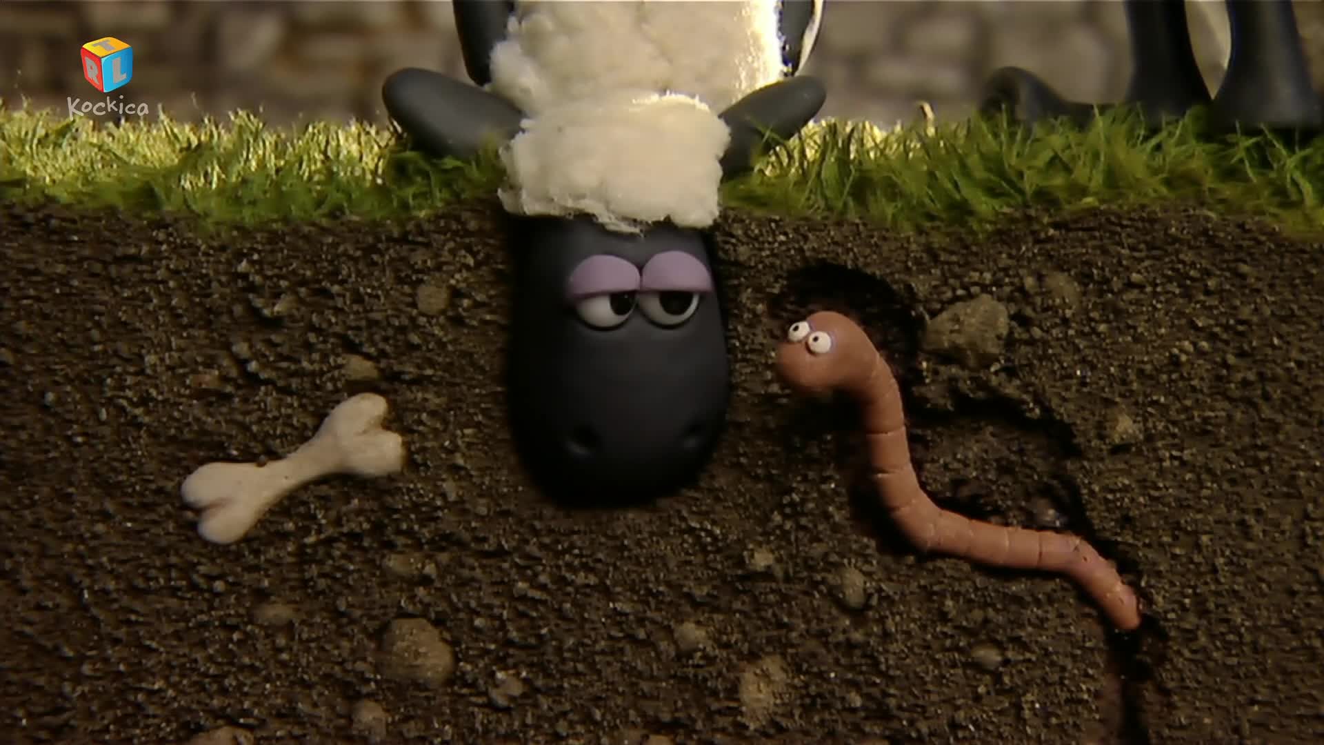 RTLKockica