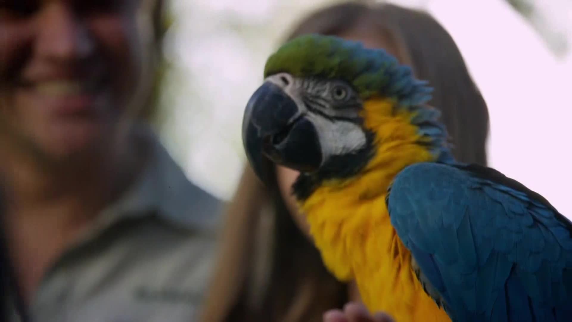 AnimalPlanet