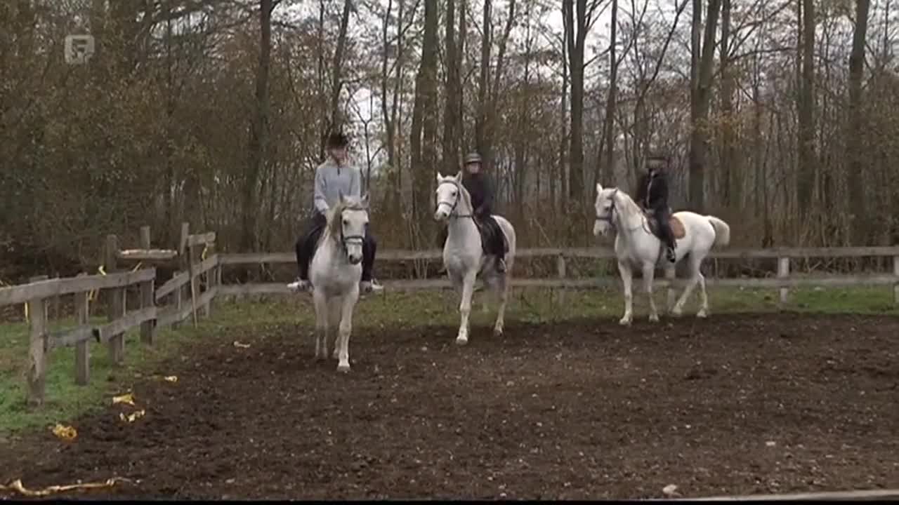 FTV