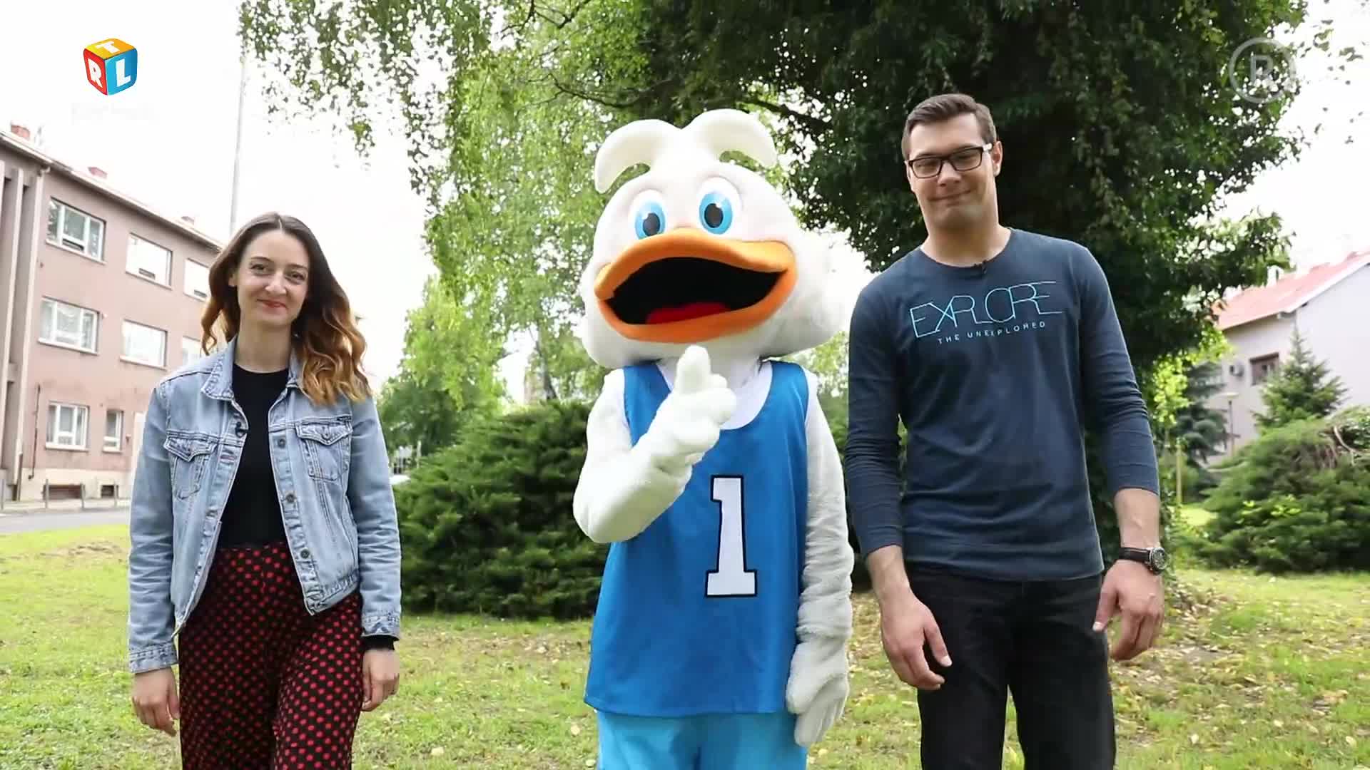 RTLKockica