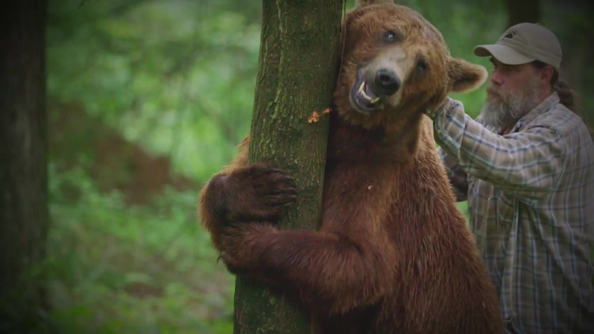 AnimalPlanet