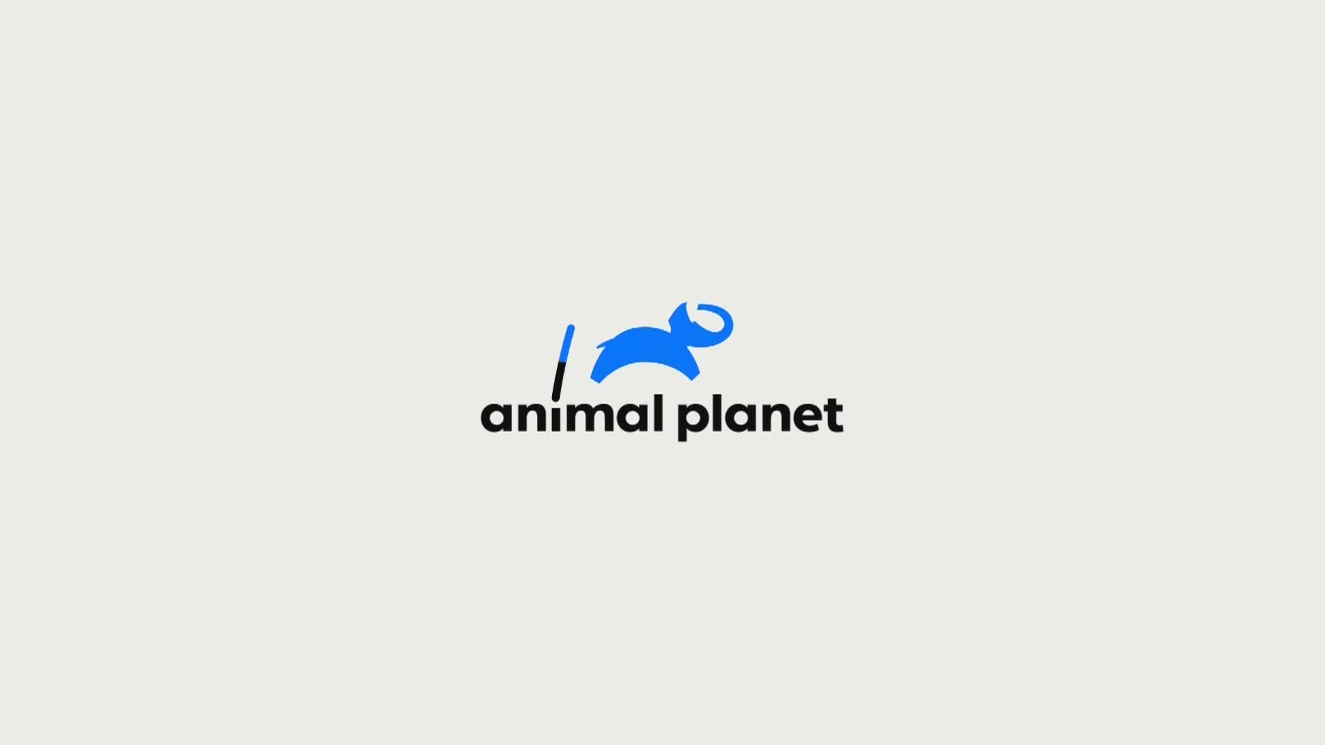 AnimalPlanet