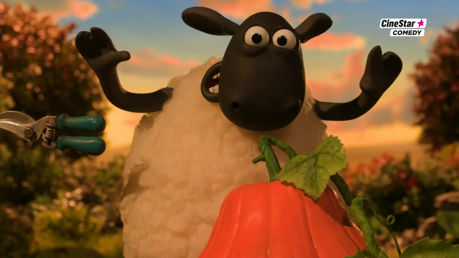 CinestarComedy
