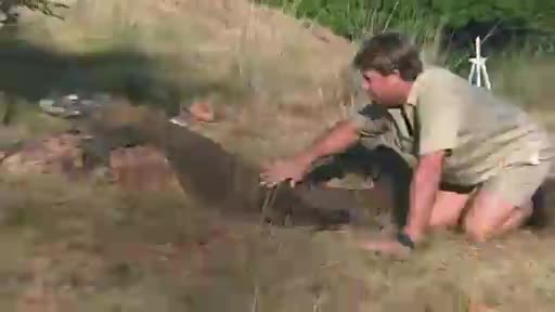 AnimalPlanet