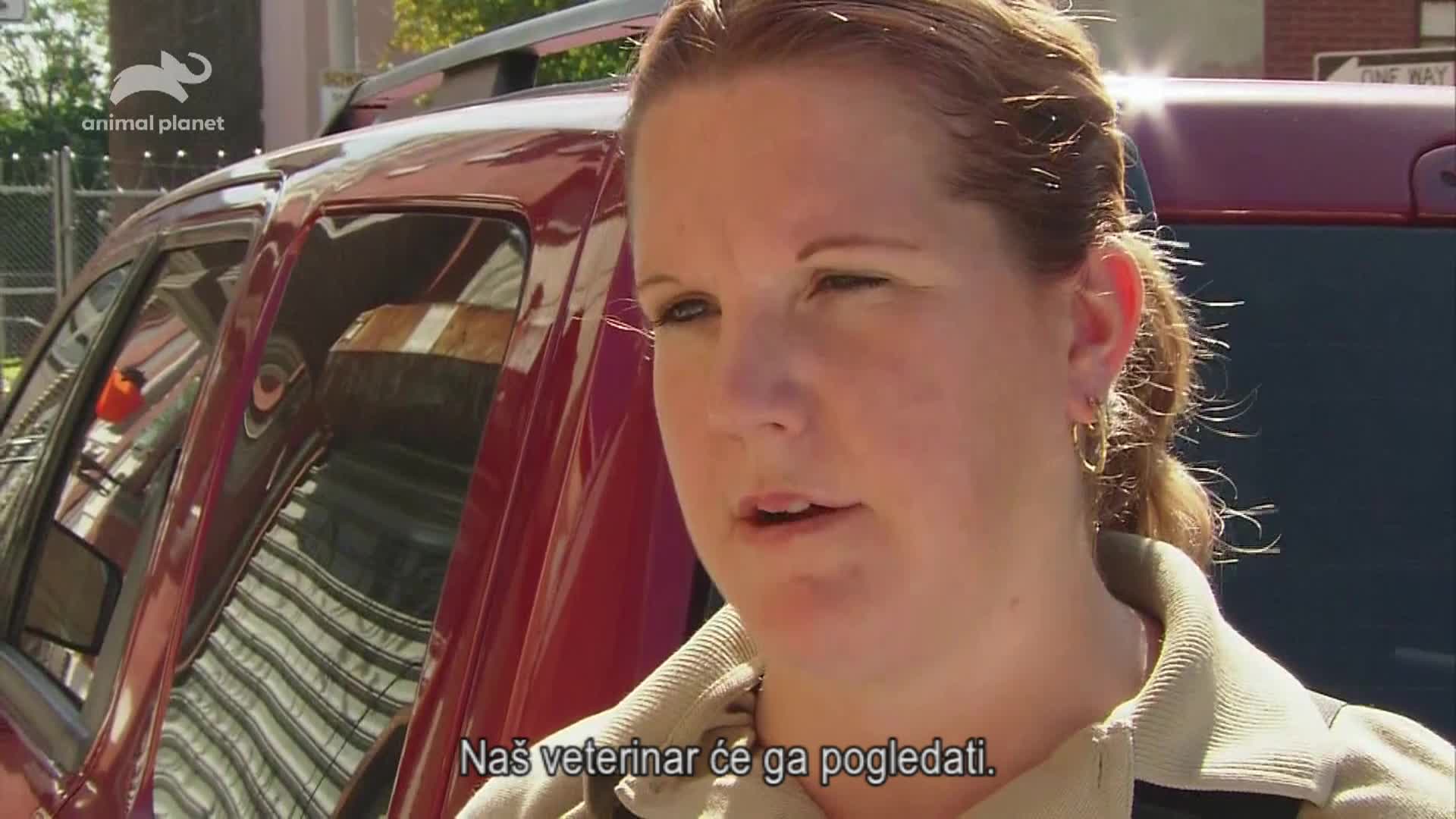 AnimalPlanet