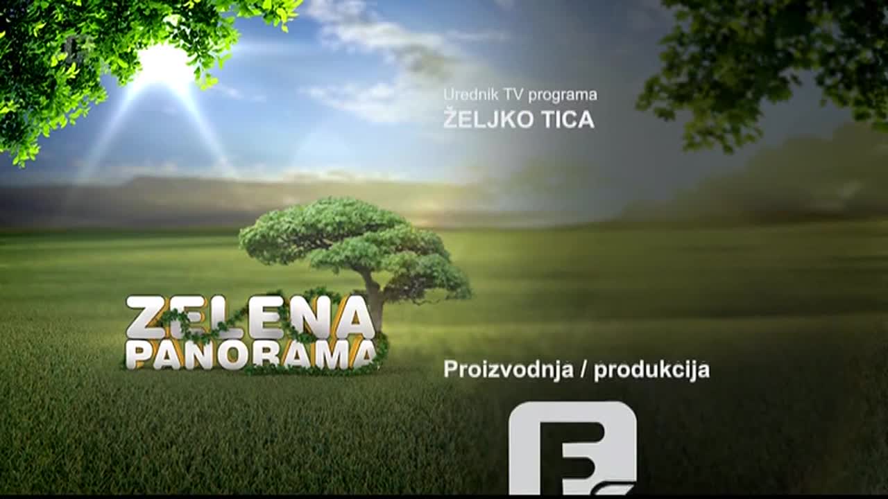 FTV