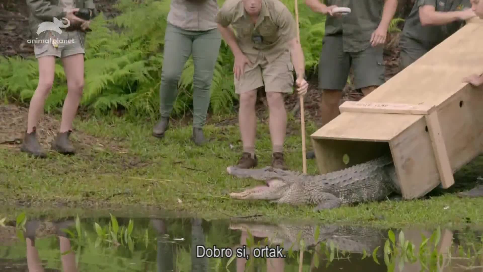 AnimalPlanet