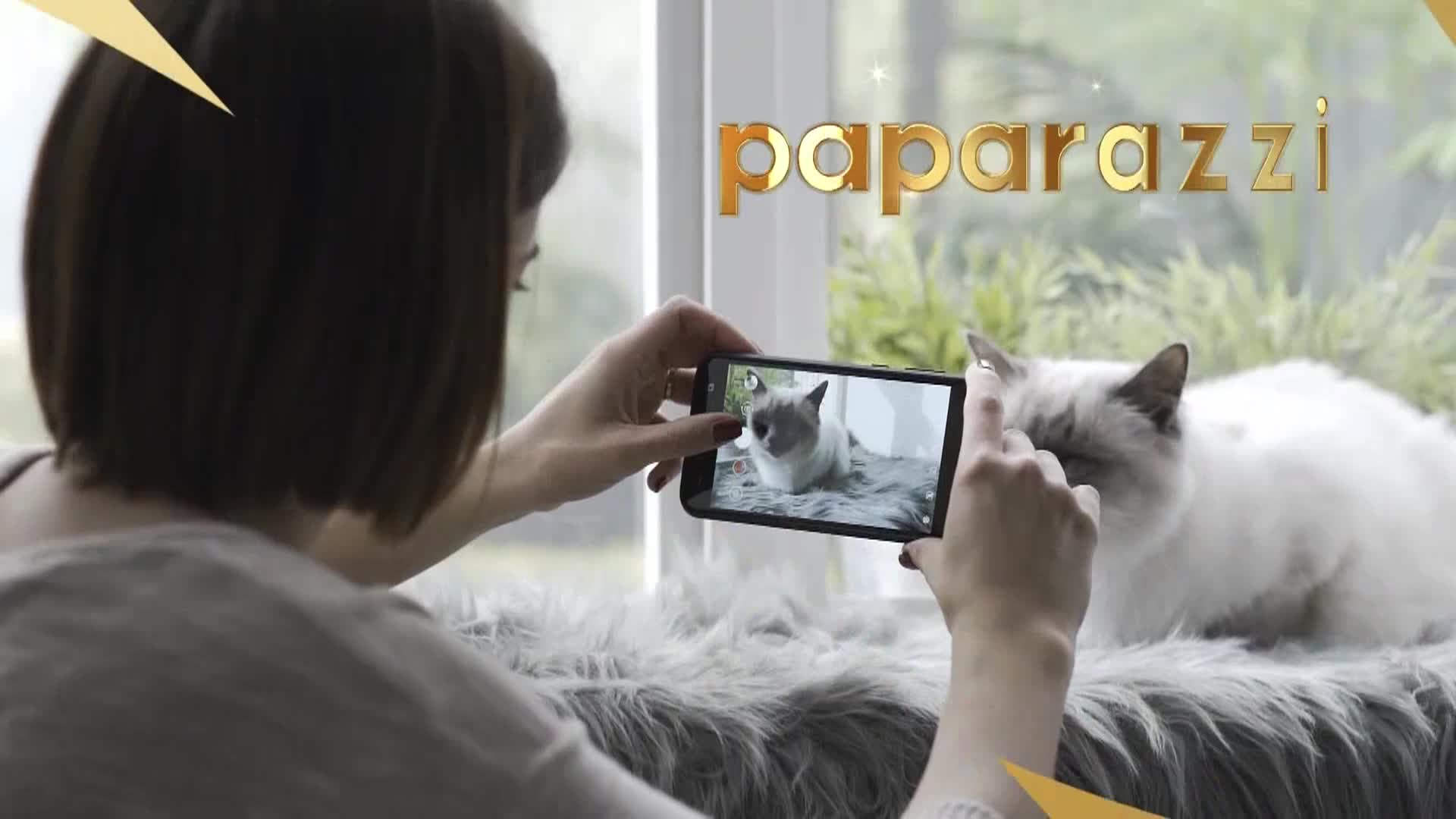 AnimalPlanet