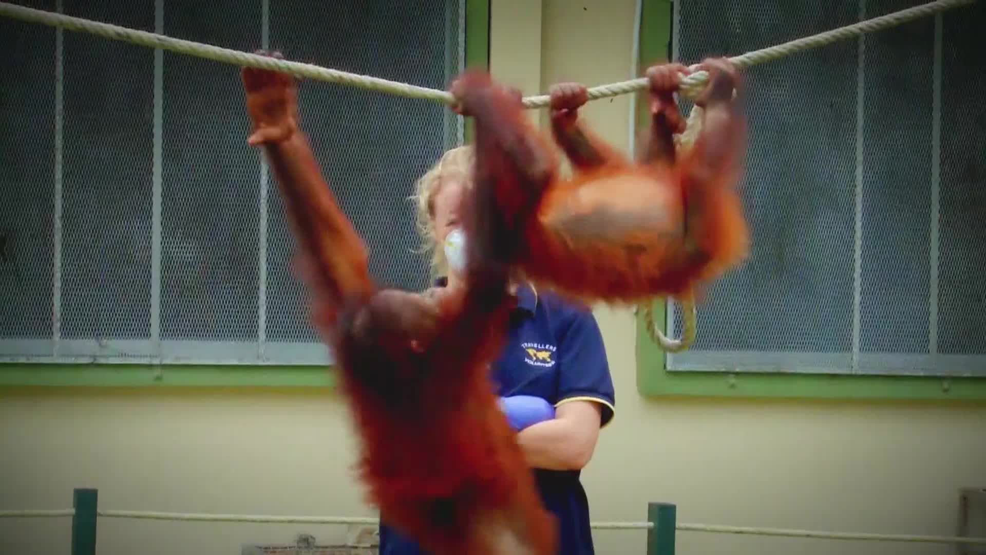 AnimalPlanet