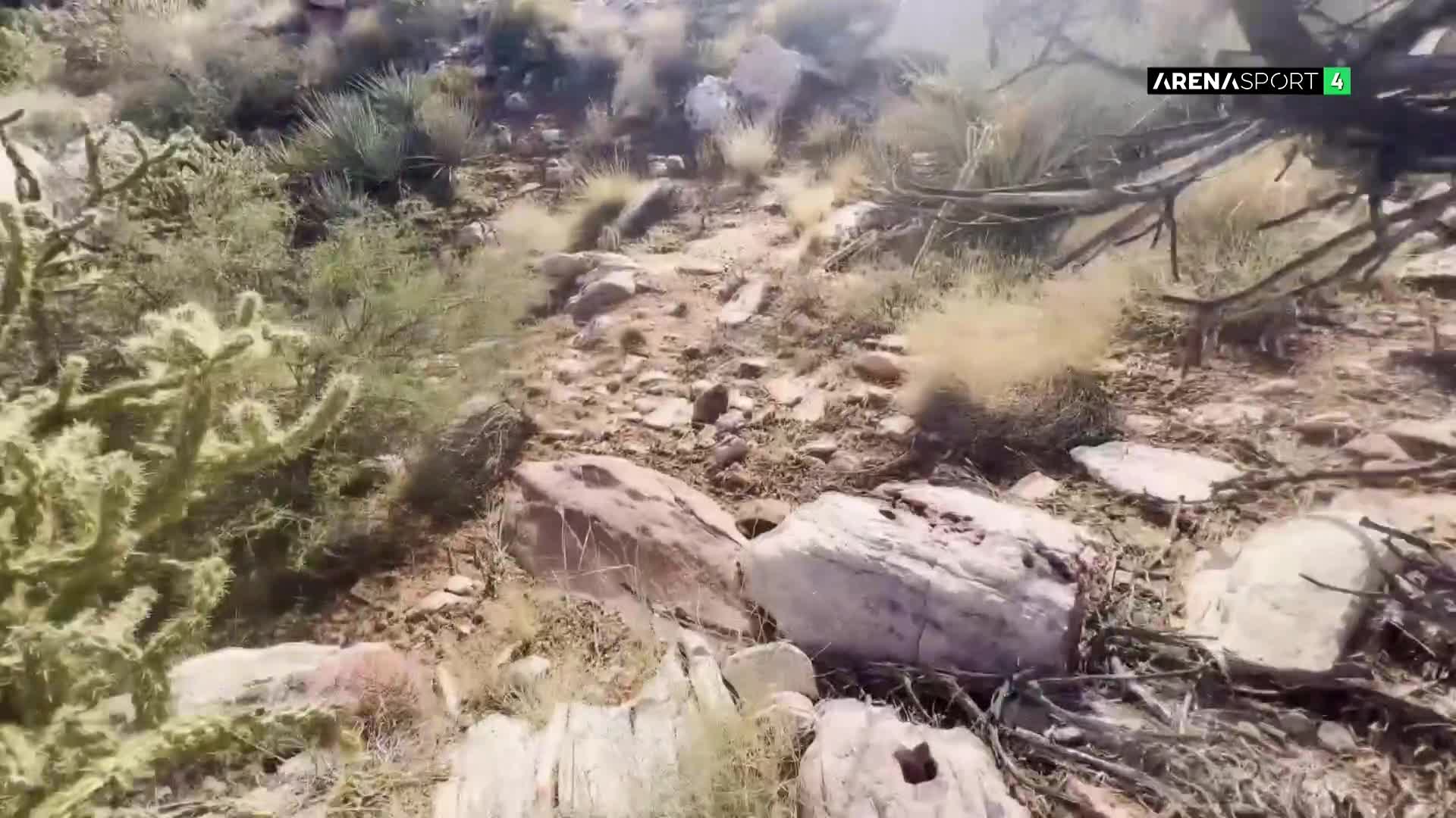 ArenaSportHD4