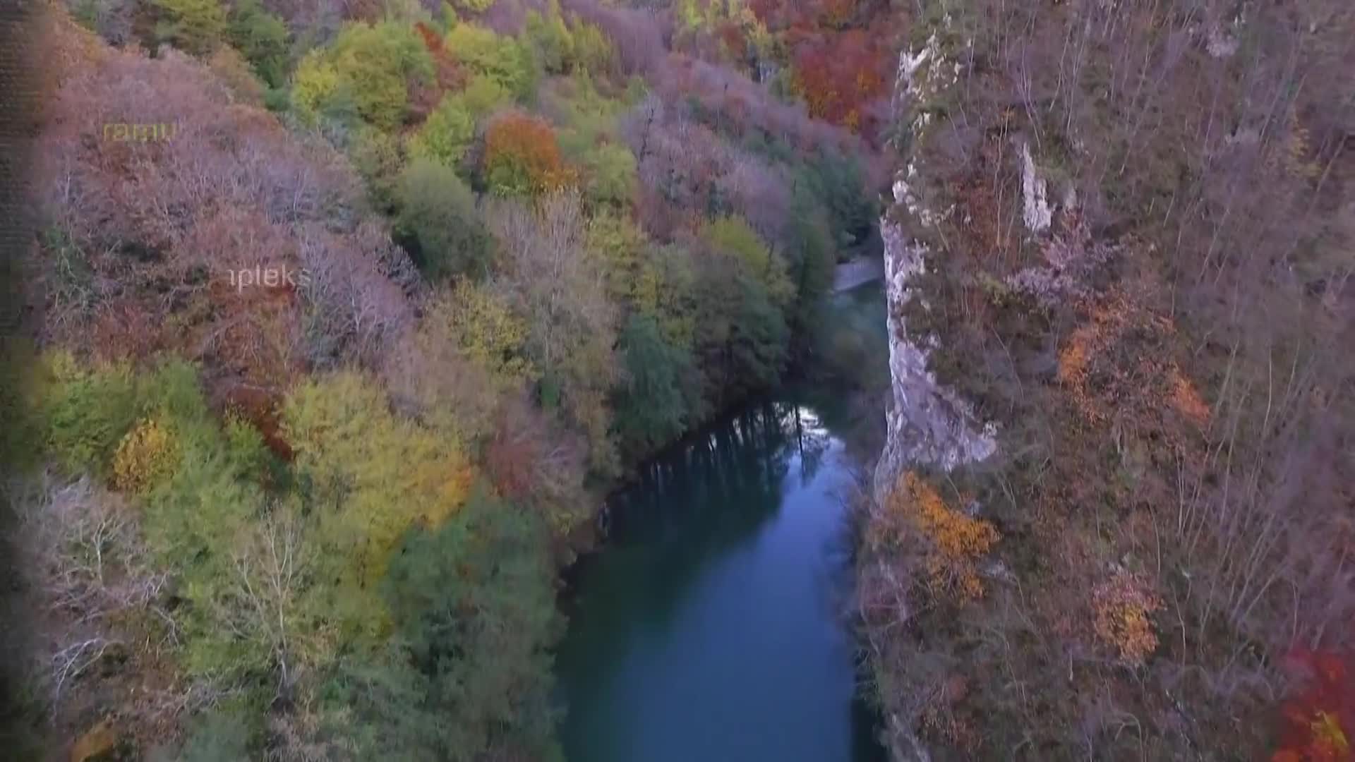 DokuTV