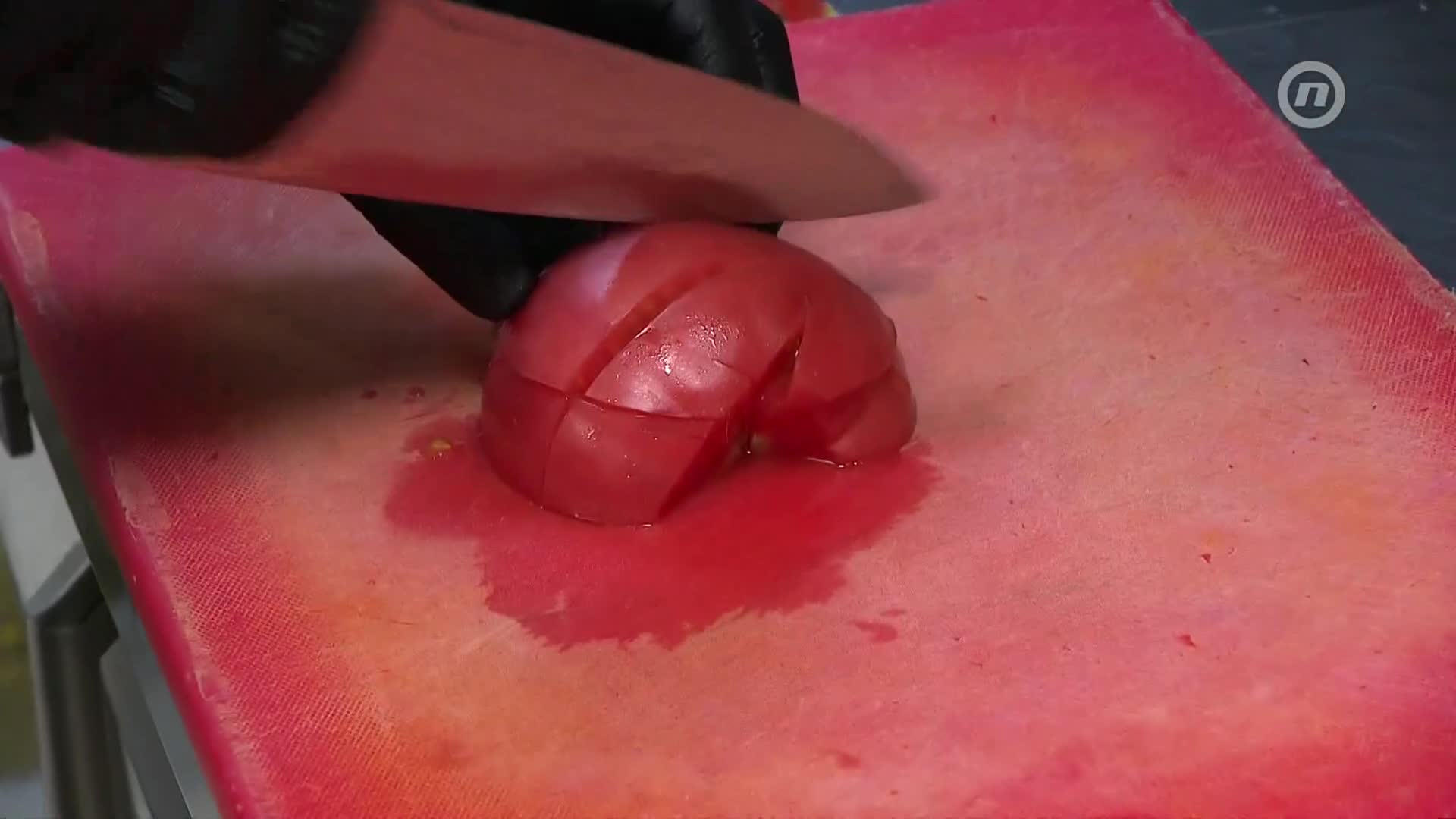NovaTVPlus