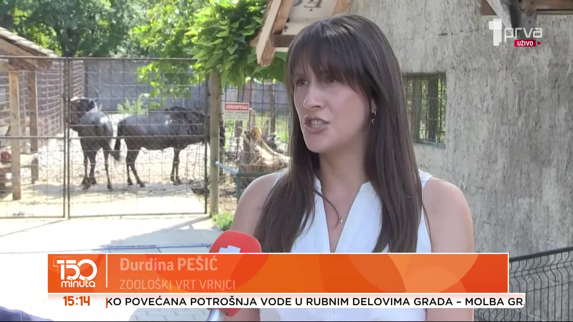 PRVA