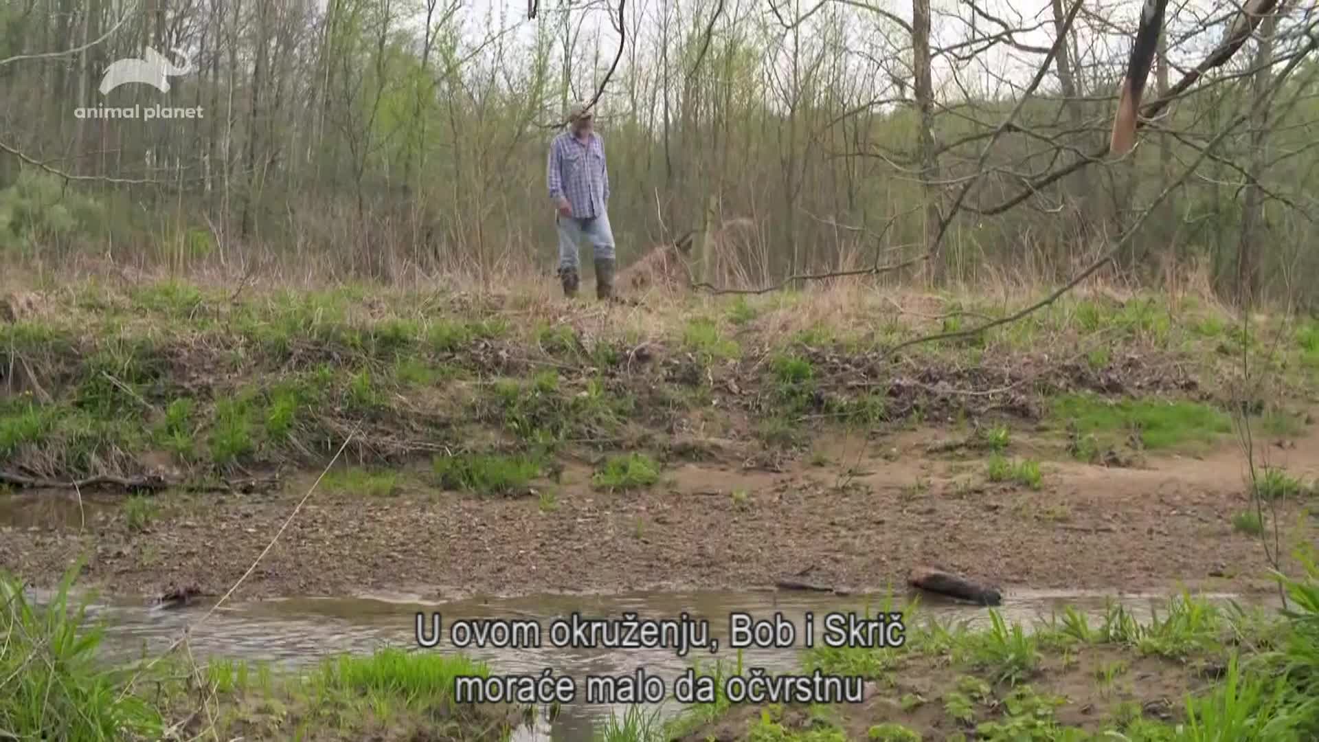 AnimalPlanet