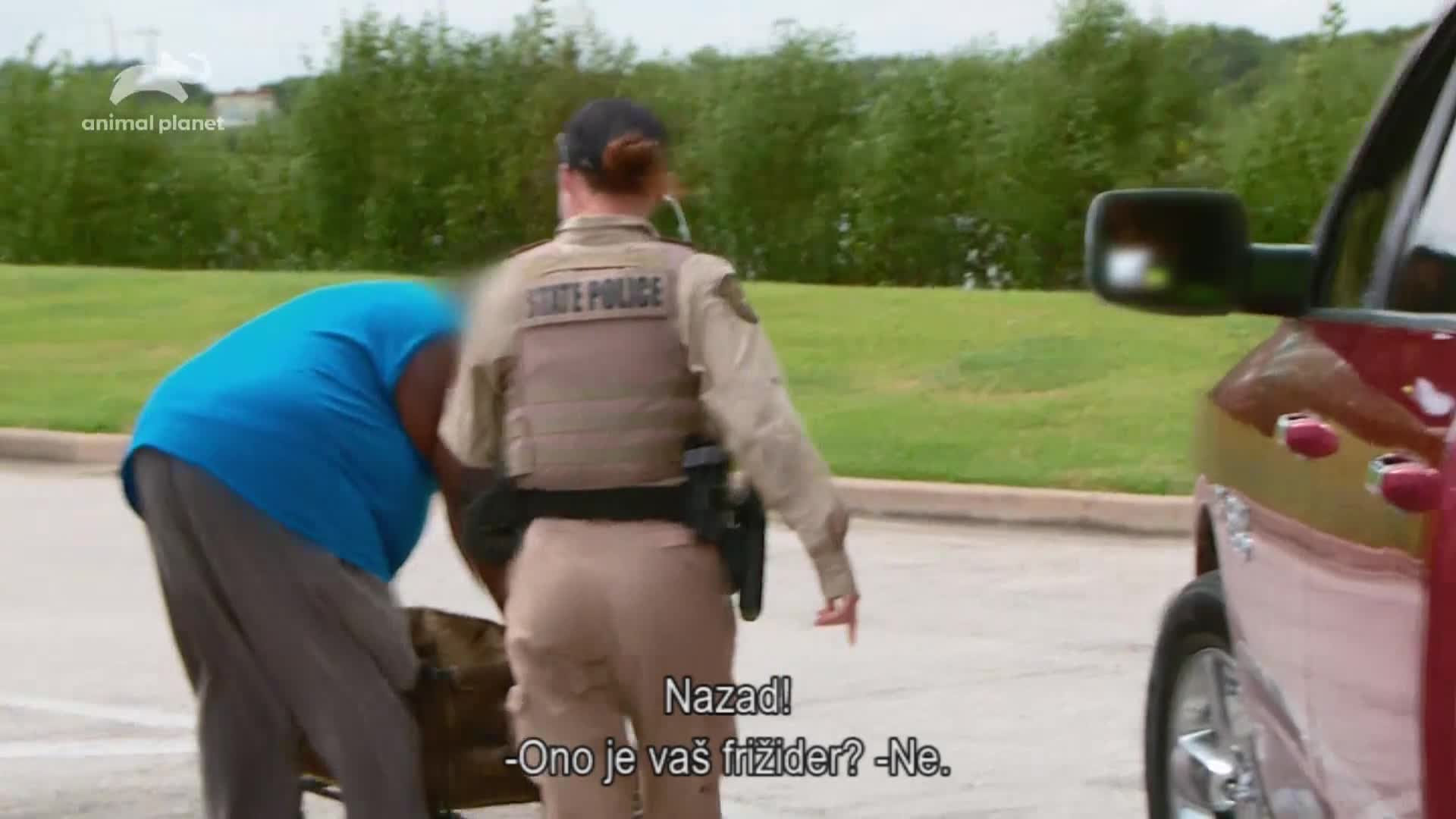 AnimalPlanet