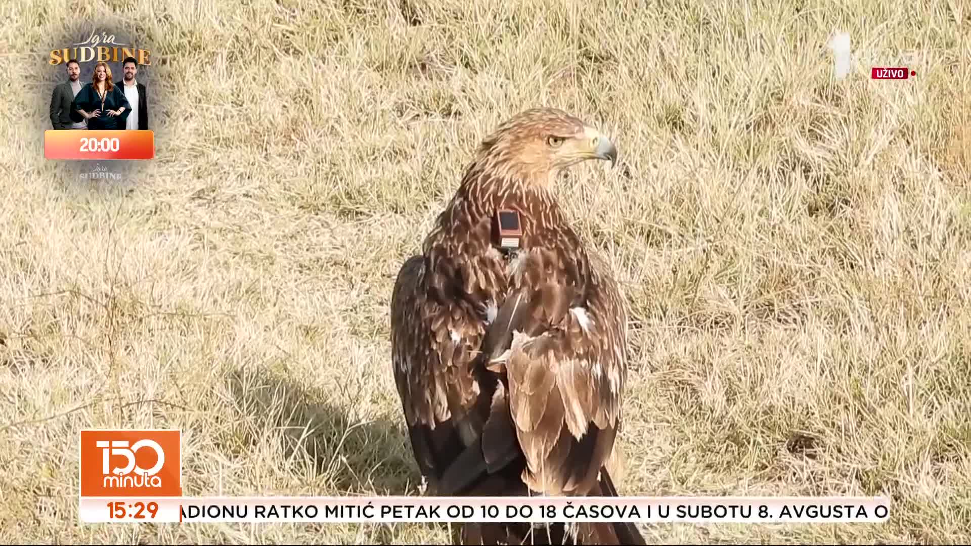 PRVA