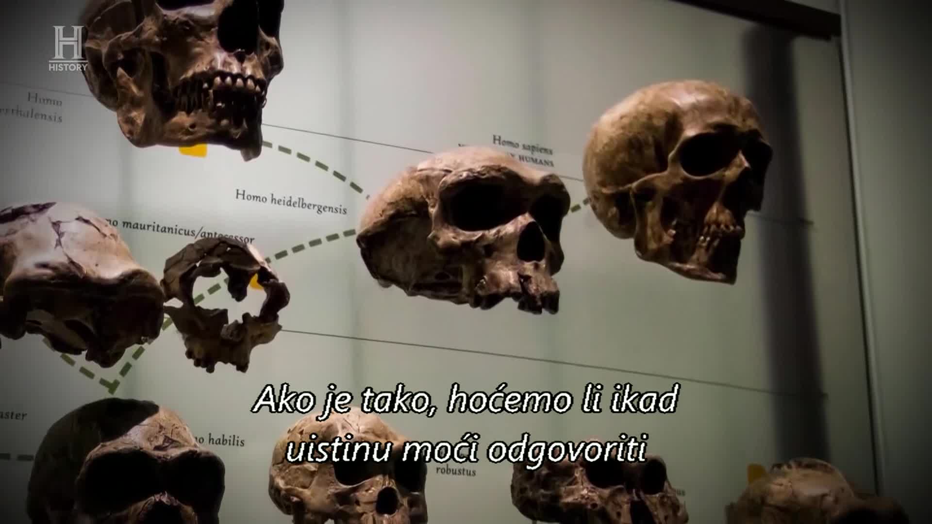 History