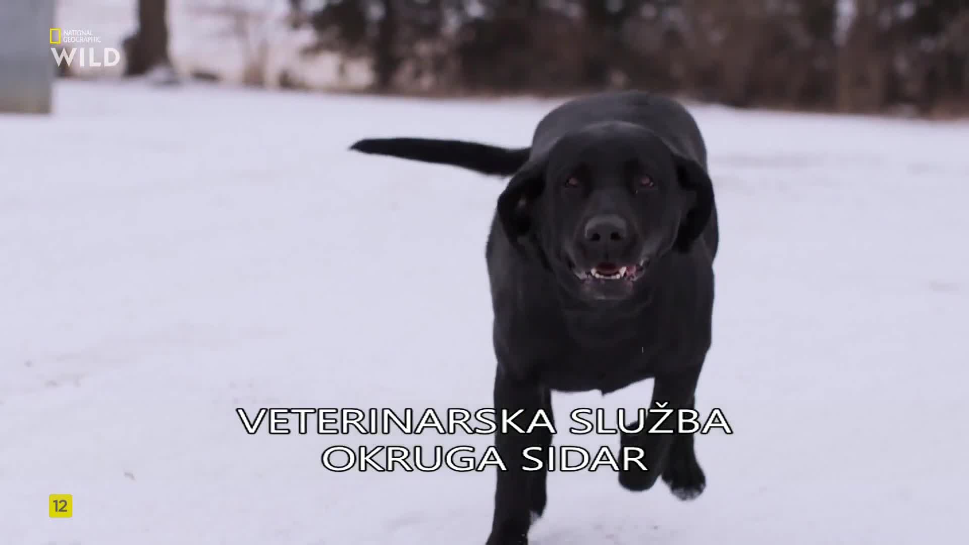 Premium9