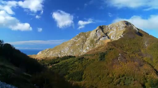 DokuTV