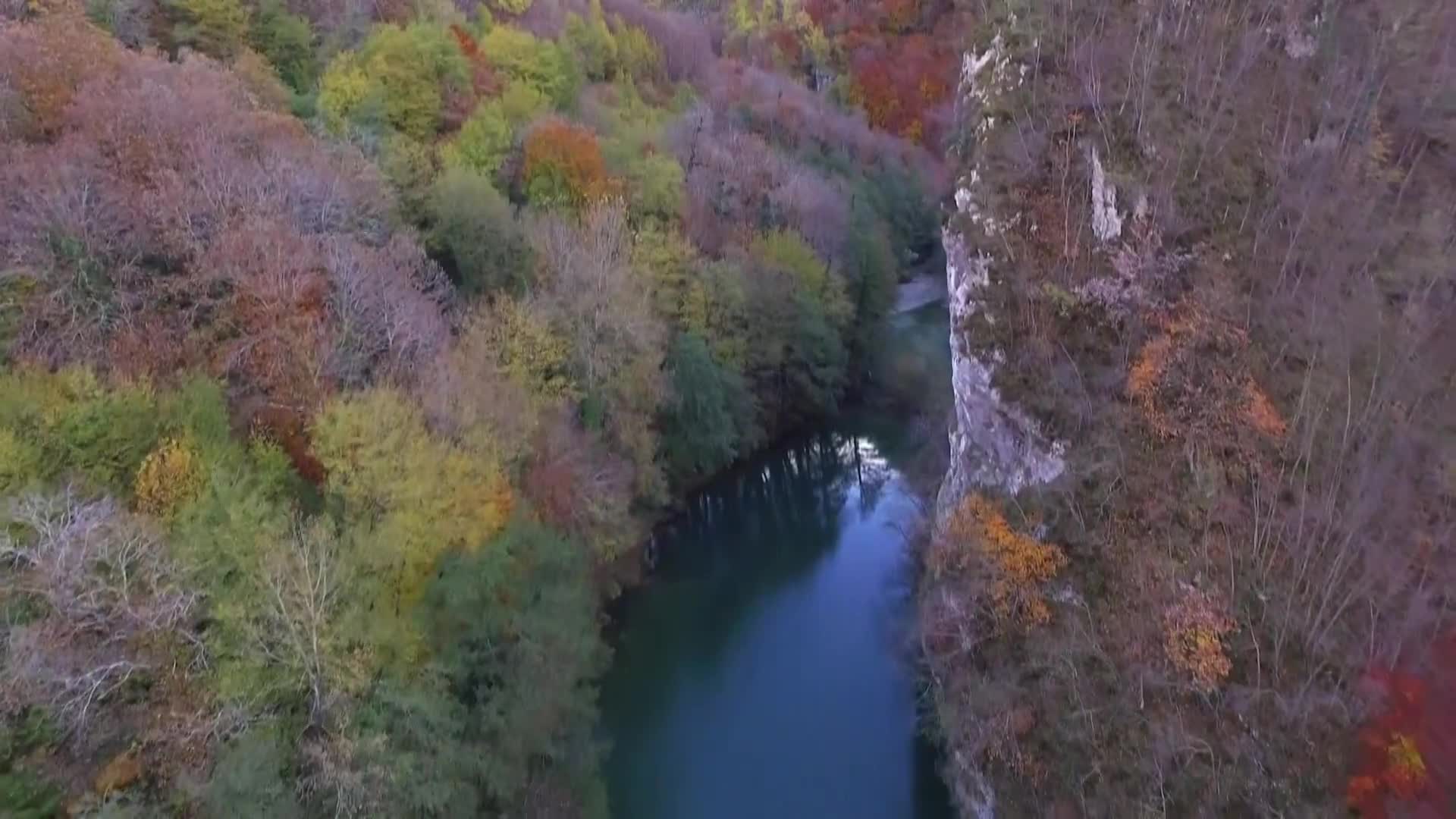 DokuTV