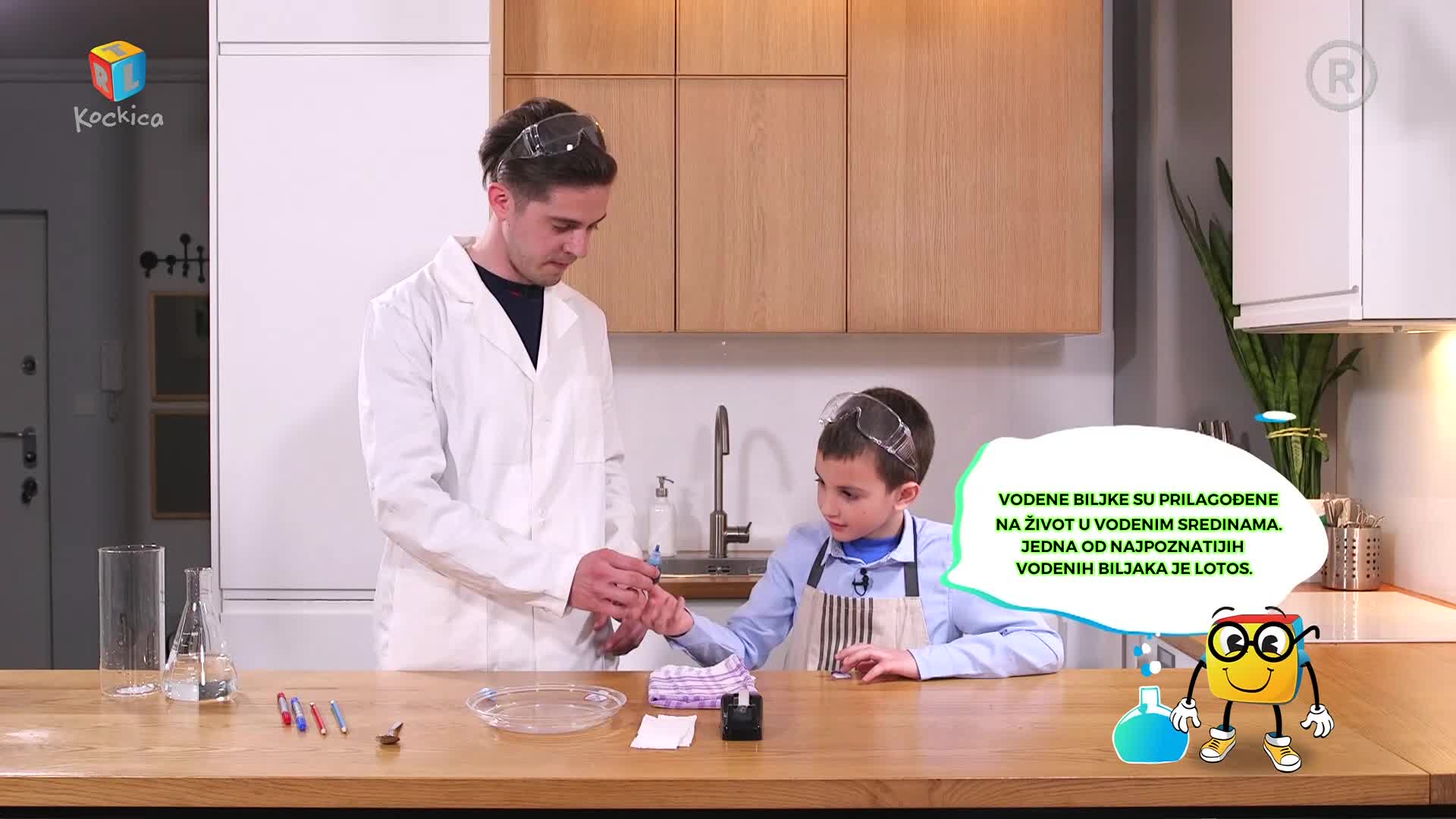 RTLKockica