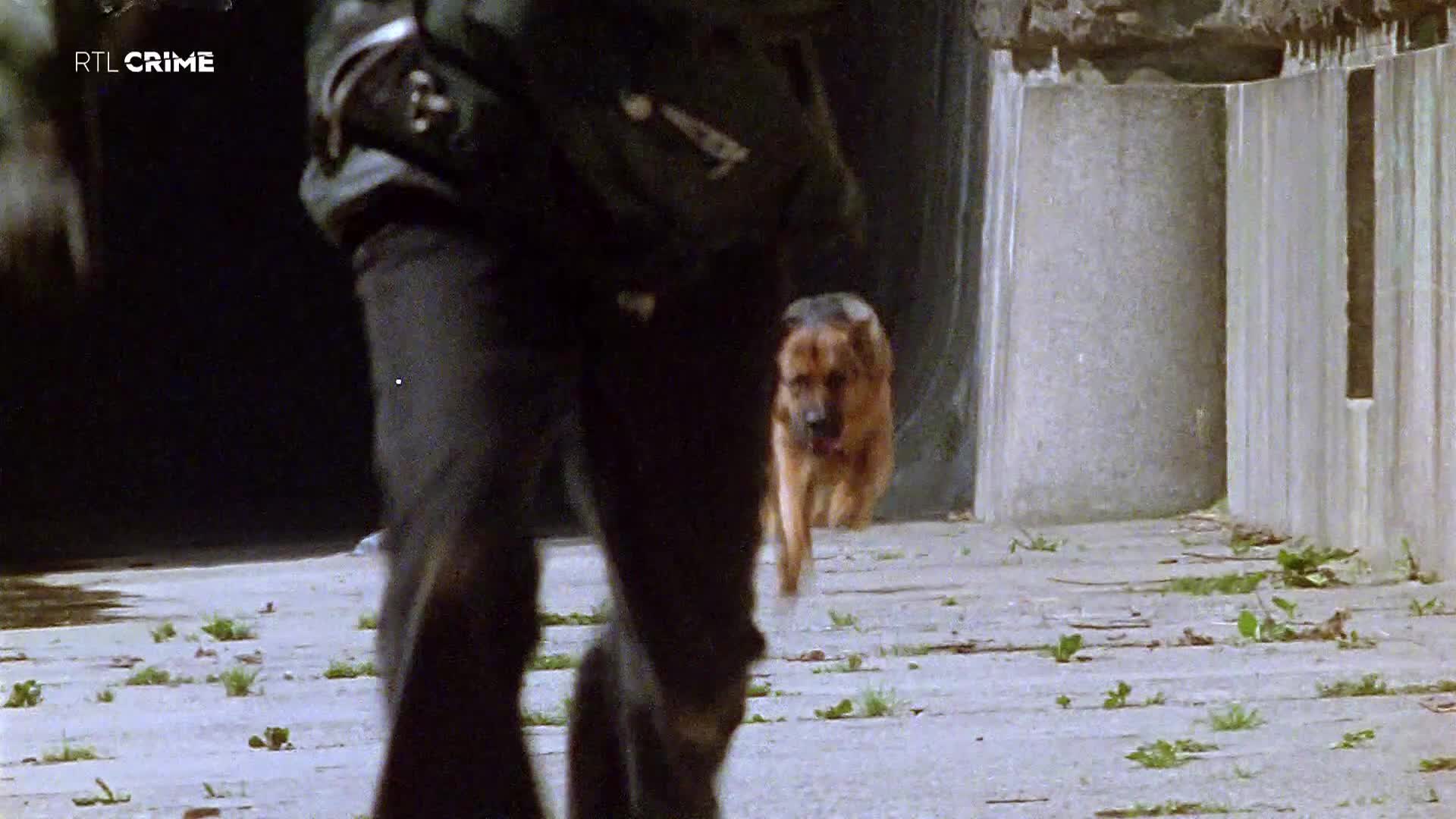 RTLcrime