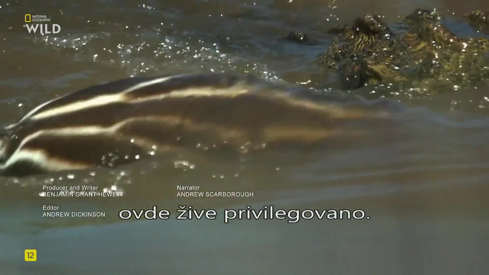 Premium9