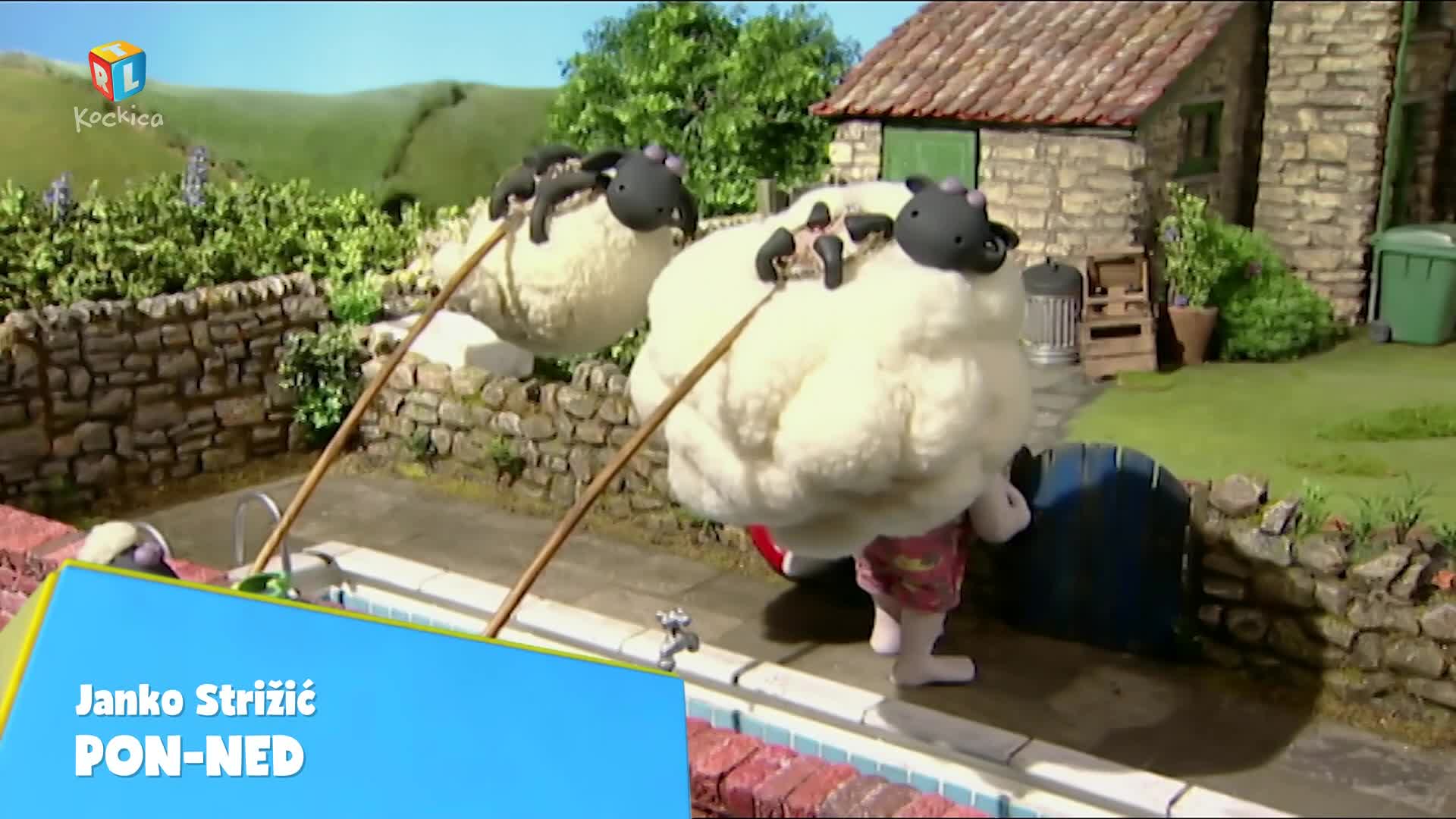 RTLKockica