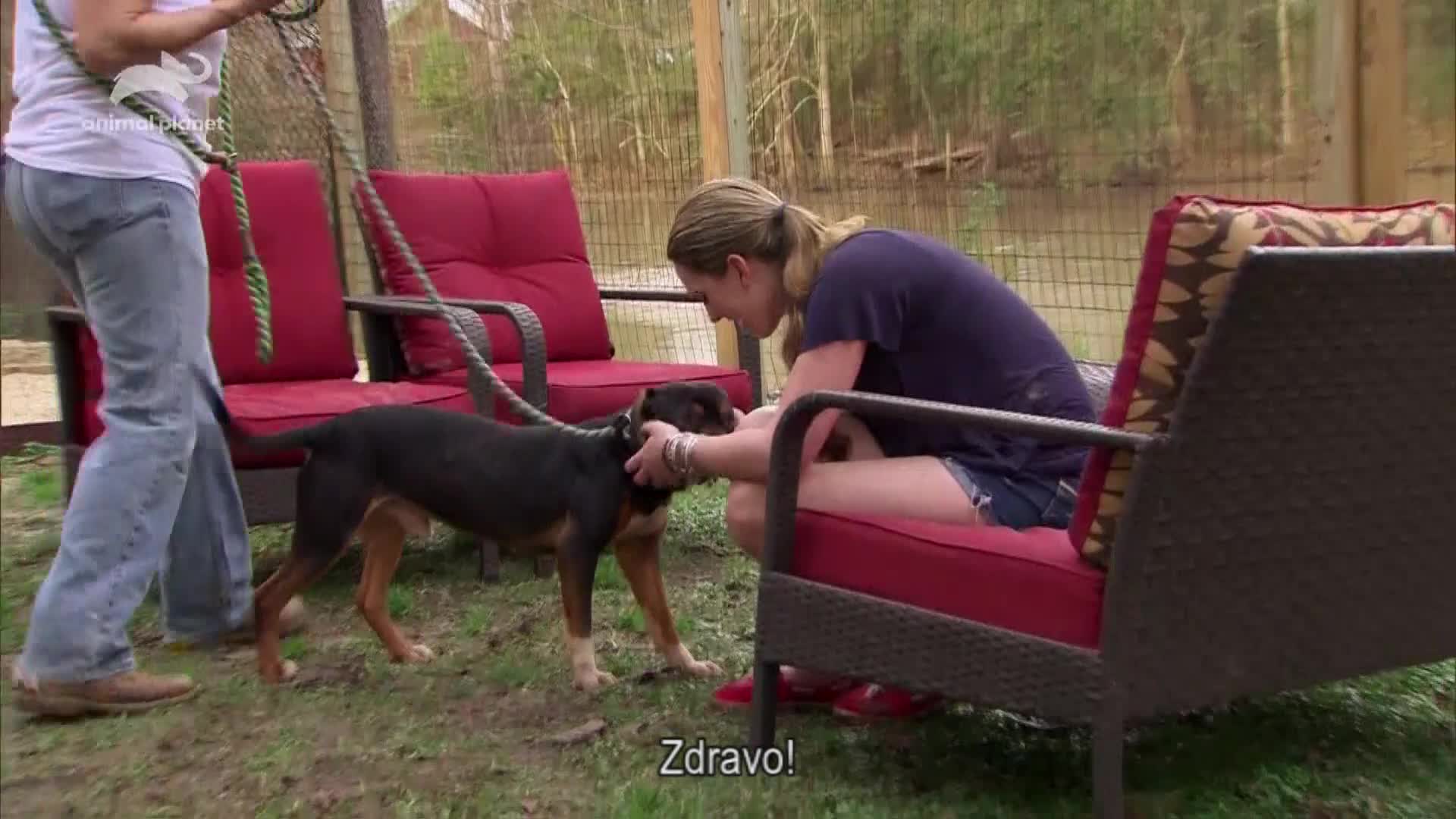 AnimalPlanet