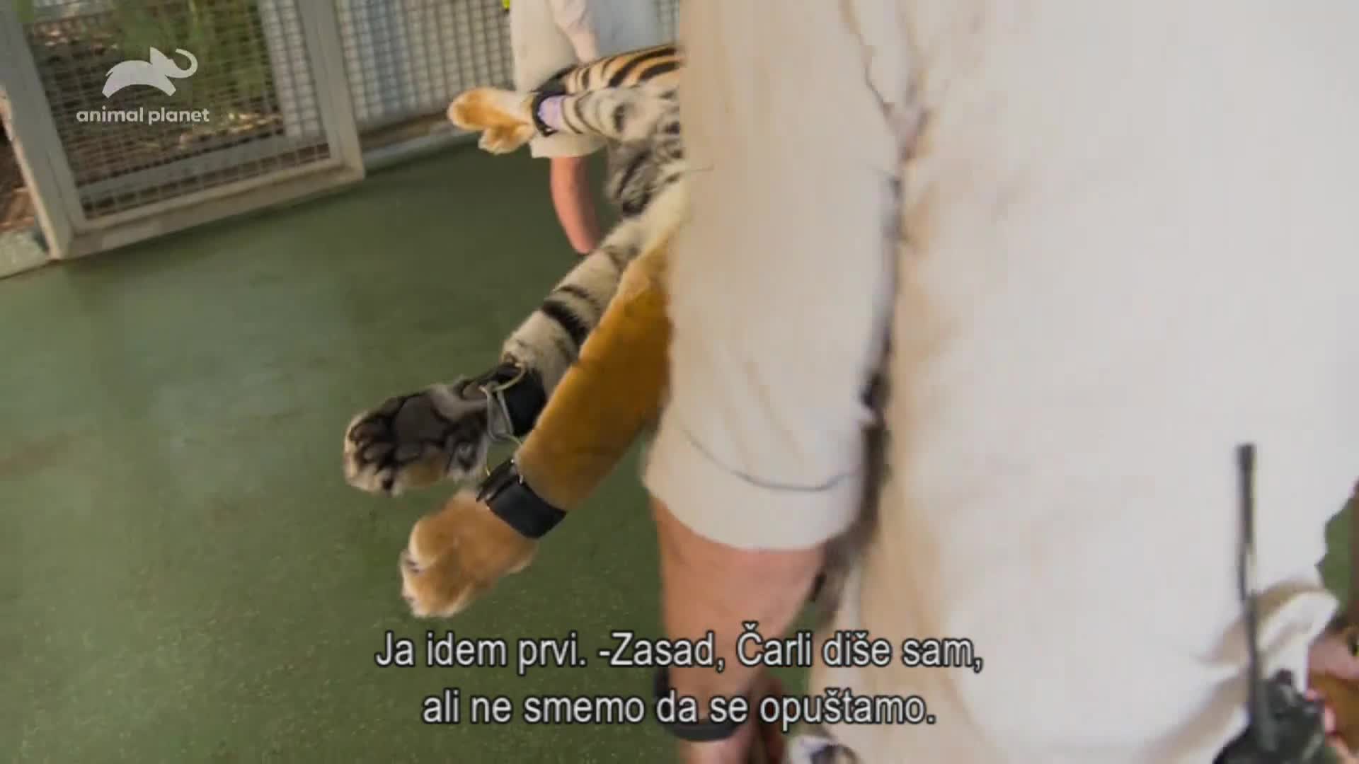 AnimalPlanet