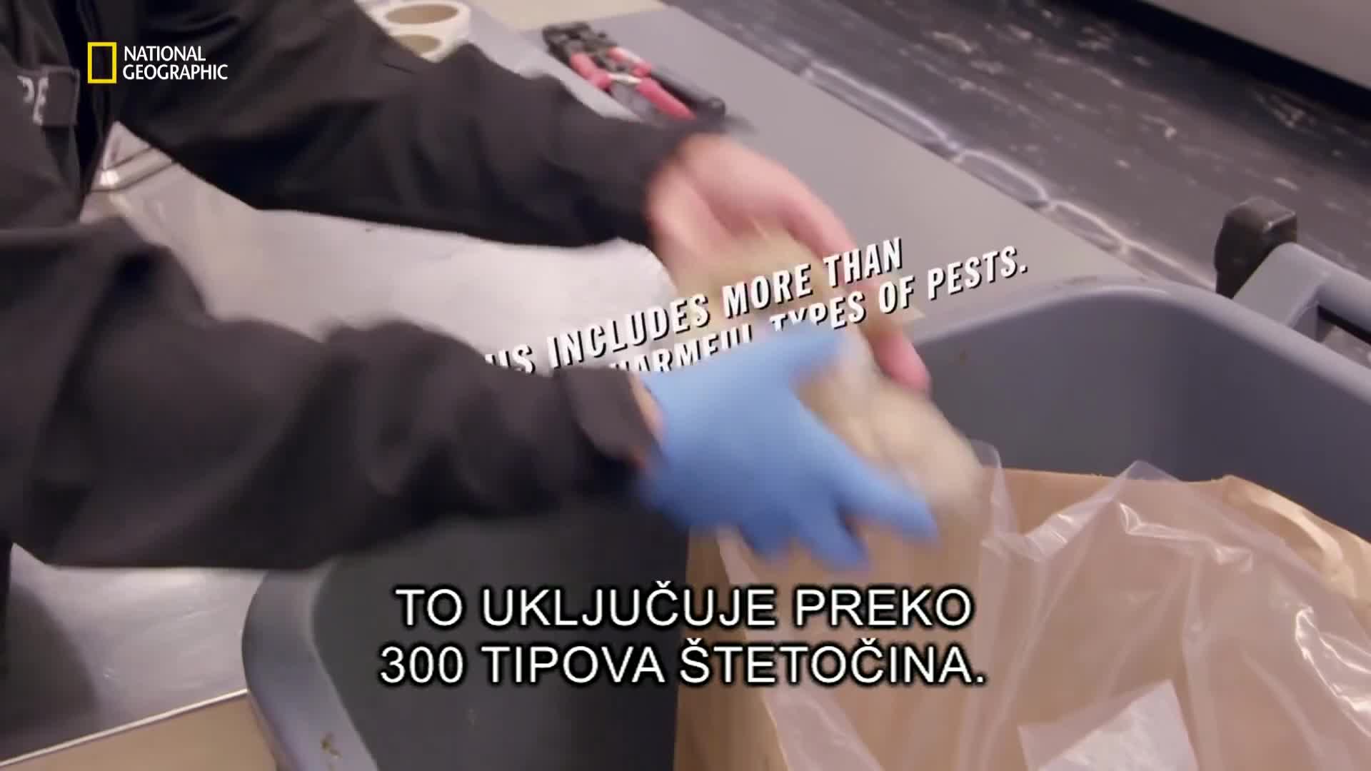 Premium10