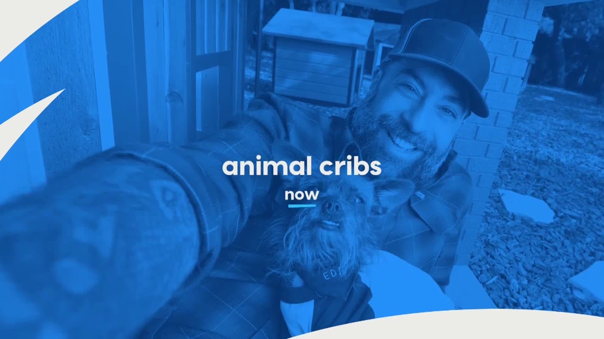 AnimalPlanet