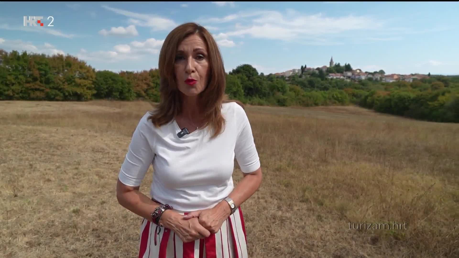 HRT2