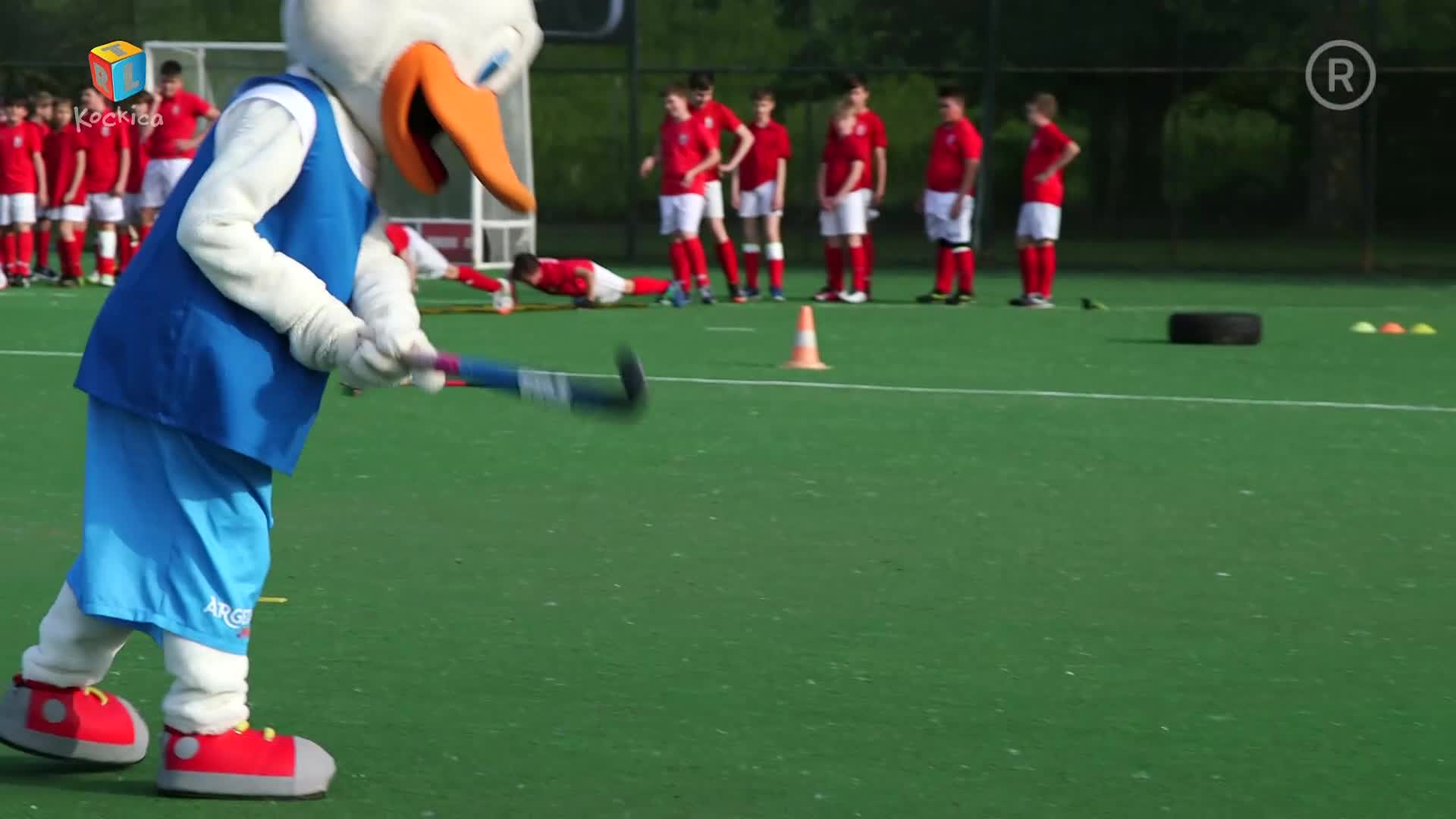 RTLKockica
